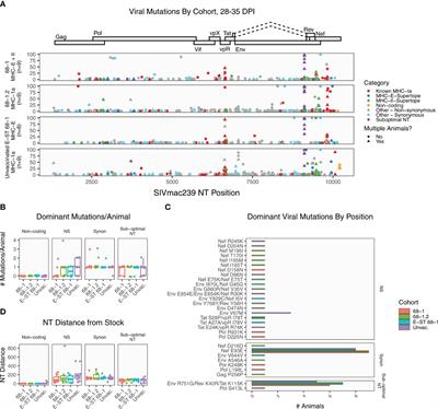 Viral escape mutations do not account for non-protection from SIVmac239 challenge in RhCMV/SIV vaccinated rhesus macaques